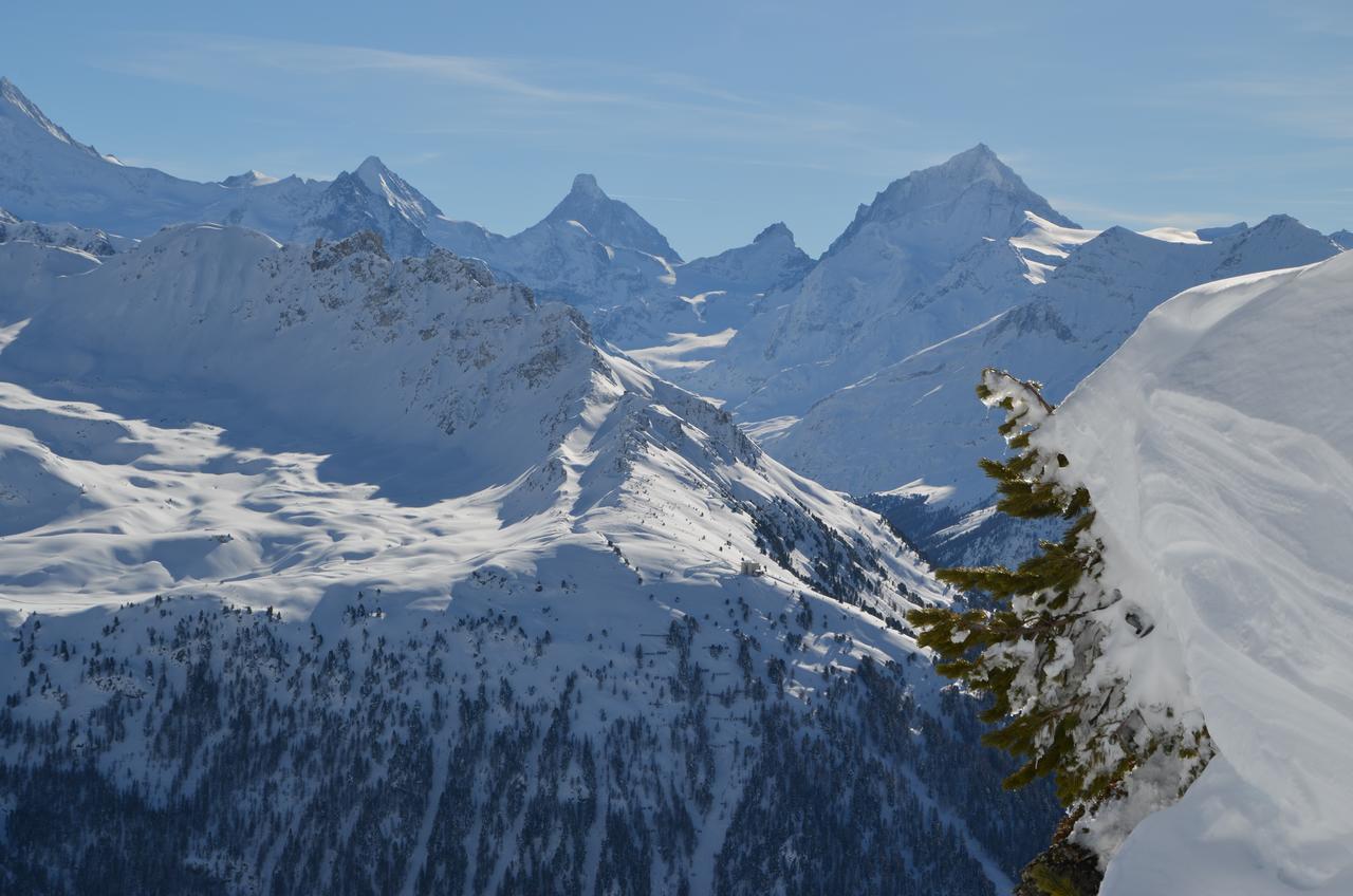 Guesthouse & Hotel Le Cervin Vissoie エクステリア 写真
